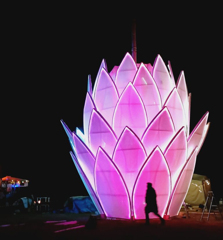 Mehr über den Artikel erfahren Warum Festivals perfekte Orte für Naturerfahrung sind