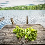 brown wooden dock at a lake