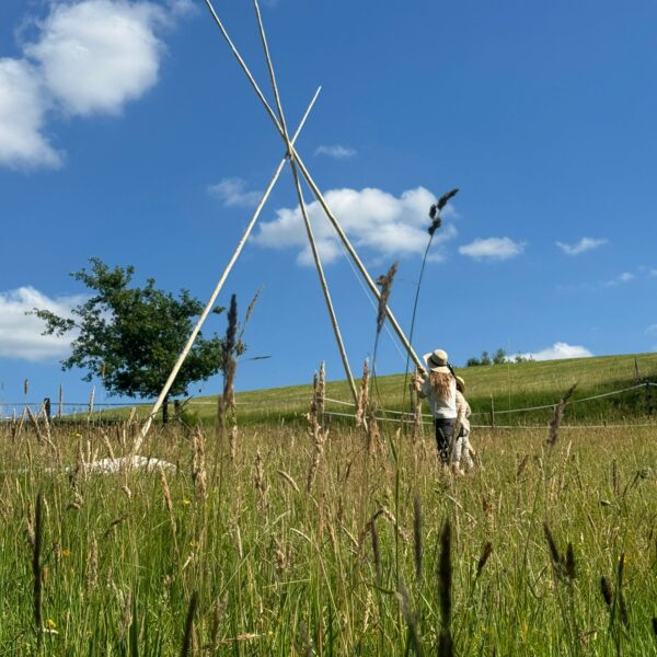 Tipi im Aufbau ,Stangen auf der Wiese